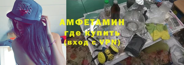шишки Магас