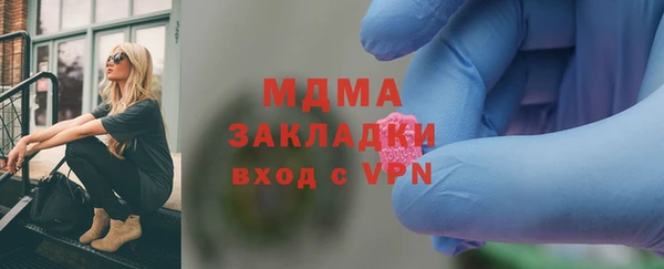 шишки Магас