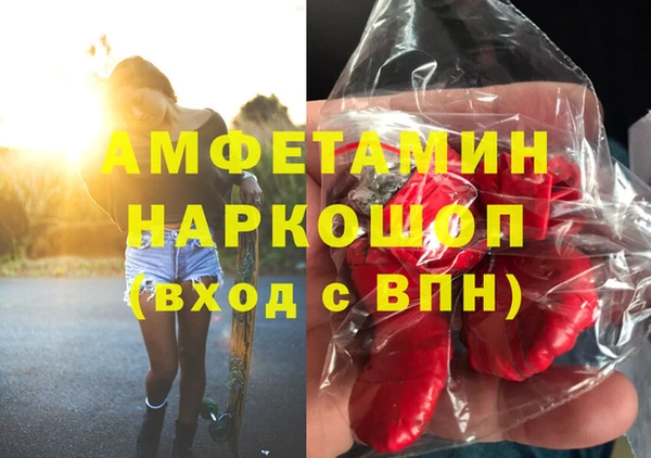 шишки Магас