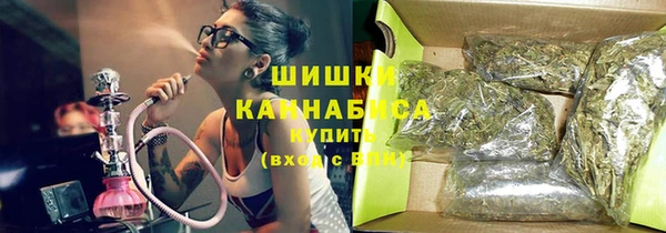 шишки Магас