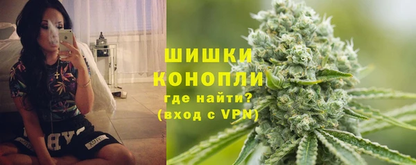 шишки Магас