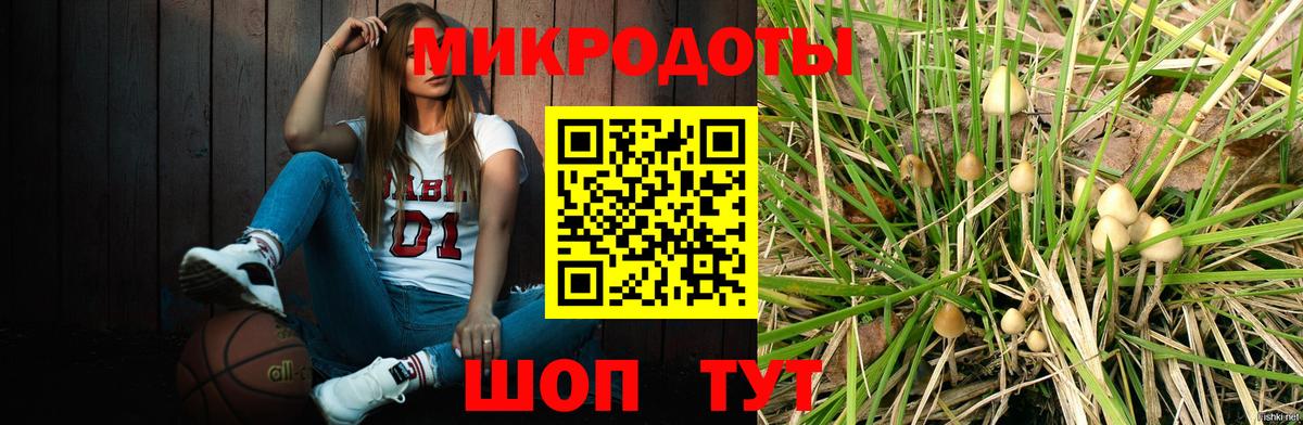 купить  цена  Вход с VPN  Саки  Псилоцибиновые грибы Psilocybe  Галлюциногенные грибы мицелий 