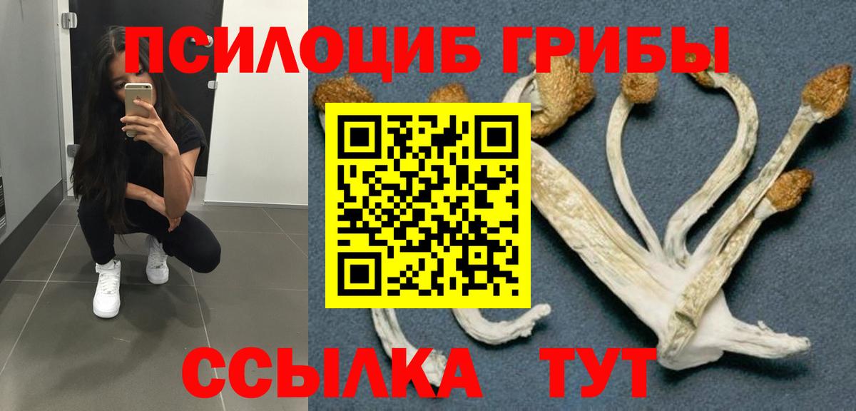 Псилоцибиновые грибы Magic Shrooms Саки